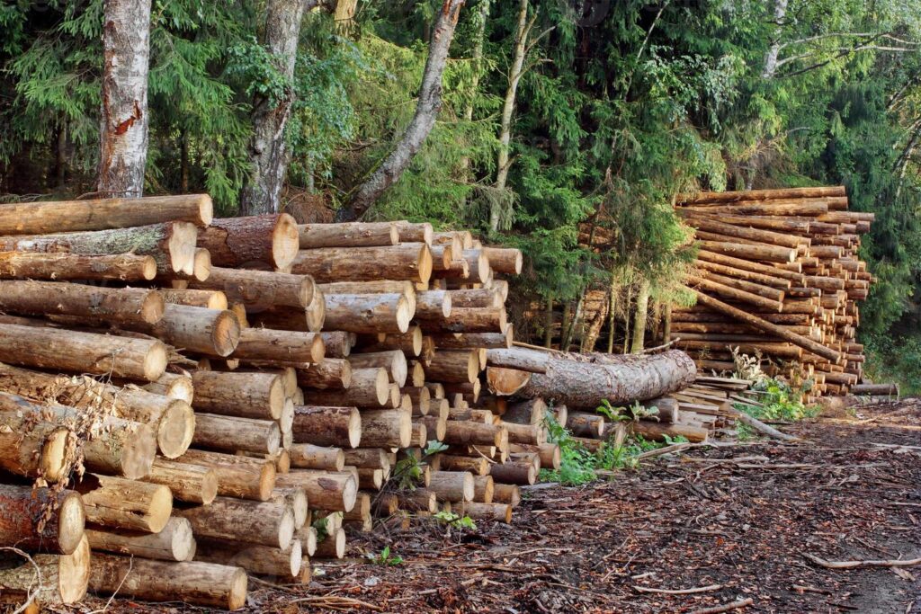 PMO’S FOREST FILES: How Closed-Door Decisions Reshaped Conservation Rulebook