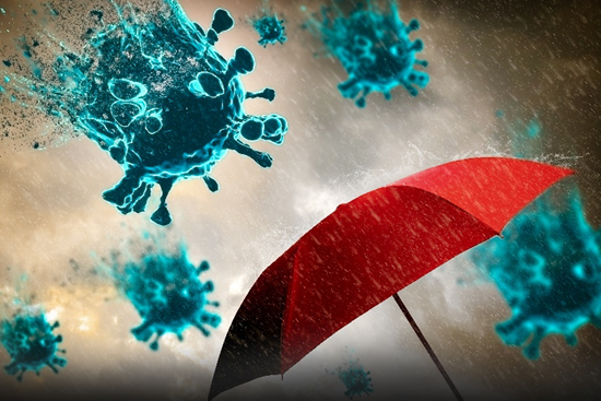 When the Rains Arrive, So Do India’s Preventable Epidemics